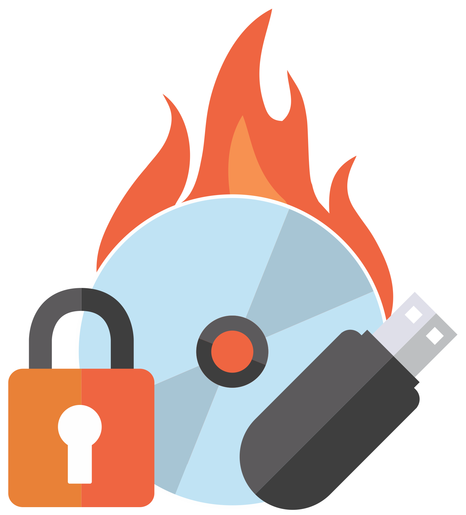 Roxio secure burn software